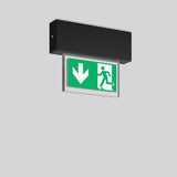 RZB LED-Sicherheitsleuchte 3,2W 4000K HALYXX 671502.003.1 55lm Deckenanb 14m