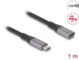 Delock USB 40 Gbps Verlängerungskabel USB Type-C™ Stecker zu Buchse PD 3.1 240 W 1 m grau Metall