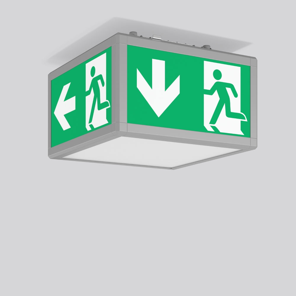 RZB LED-Sicherheitsleuchte 10W 6500K 30m Signcube 672338.004.04 Deckenanb dreis