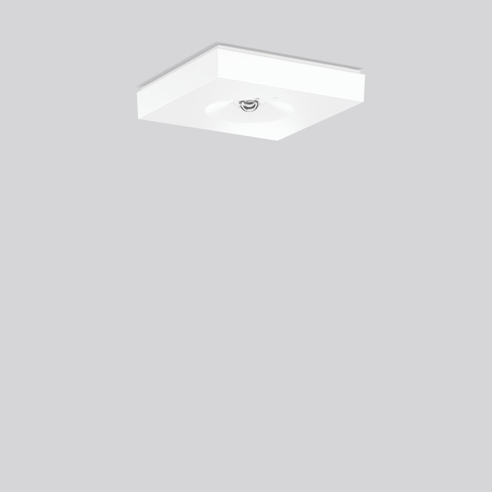 RZB LED-Sicherheitsleuchte 2,8W 4000K CENTRYXX 672582.002.04 240lm Deckenanb