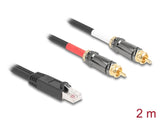 Delock Adapterkabel RJ45 Stecker zu 2 x Cinch Stecker schwarz 2 m
