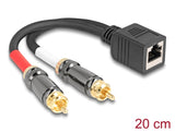 Delock Adapterkabel RJ45 Buchse zu 2 x Cinch Stecker schwarz 20 cm
