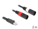 Delock Adapterkabel RJ45 Stecker zu 2 x XLR 3 Pin Stecker schwarz 2 m