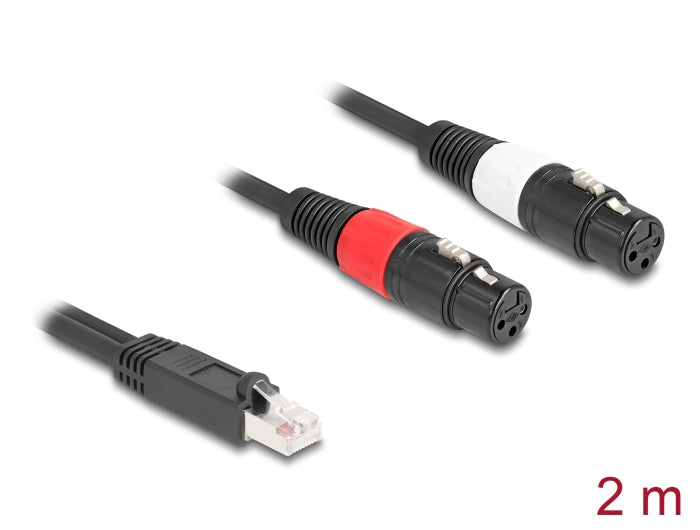 Delock Adapterkabel RJ45 Stecker zu 2 x XLR 3 Pin Buchse schwarz 2 m