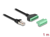 Delock RJ45 Kabel Cat.6 Stecker zu Terminalblock Adapter 1 m 2-teilig