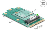Delock Adapter Mini PCIe Stecker zu M.2 Key A Slot
