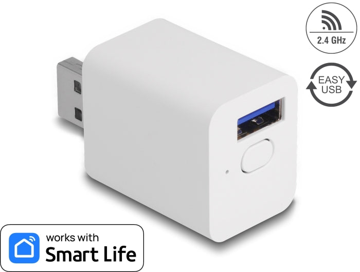 Delock WLAN EASY-USB Schalter Smart Life