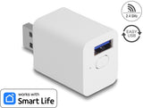 Delock WLAN EASY-USB Schalter Smart Life