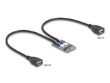 Delock Mini PCIe Adapter full size zu 2 x USB 2.0 Typ-A Buchse 30 cm