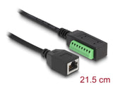 Delock RJ45 Kabel Cat.5e Buchse zu Terminalblock Adapter 21,5 cm