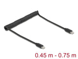 Delock USB 2.0 Type-C™ Spiralkabel Stecker zu Stecker 0,45 m bis 0,75 m schwarz