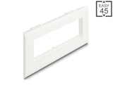 Delock Easy 45 Modulträger für Geräteeinbaukanal 175 x 80 mm