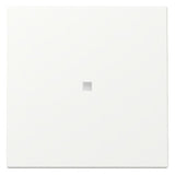 GIRA Kontrollwippe Schalter rws mt System 55 329027