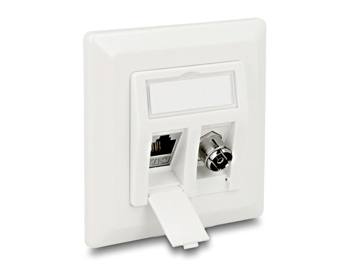 Delock Keystone Anschlussdose 2 Port