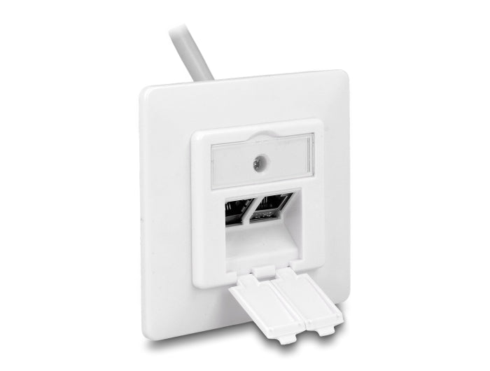 Delock Keystone Anschlussdose 2 Port kompakt
