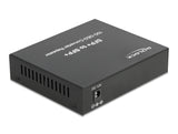 Delock Medienkonverter 10GBase-R SFP+ zu SFP+