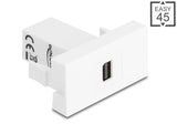 Delock Easy 45 Modul mini DisplayPort Buchse zu mini DisplayPort Buchse