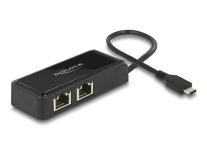 Delock USB Type-C™ Netzwerk Adapter Gigabit LAN 2 x RJ45