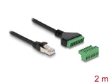Delock RJ45 Kabel Cat.6 Stecker zu Terminalblock Adapter 2 m 2-teilig