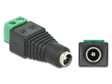 Delock Adapter DC 5,5 x 2,1 mm Buchse > Terminalblock 2 Pin