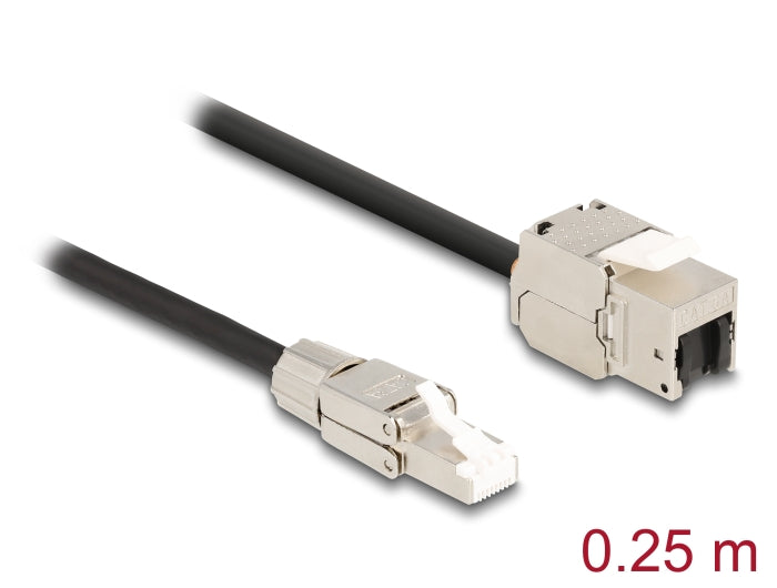 Delock Kabel RJ45 Stecker feldkonfektionierbar zu Keystone Modul RJ45 Buchse Cat.6A 25 cm