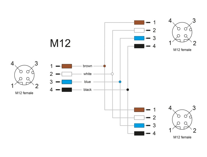 Delock M12 T-Splitter A-kodiert 4 Pin 1 x Buchse zu 2 x Buchse Parallelschaltung