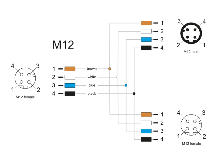 Delock M12 Y-Splitter A-kodiert 4 Pin 1 x Buchse zu 1 x Stecker und 1 x Buchse Parallelschaltung