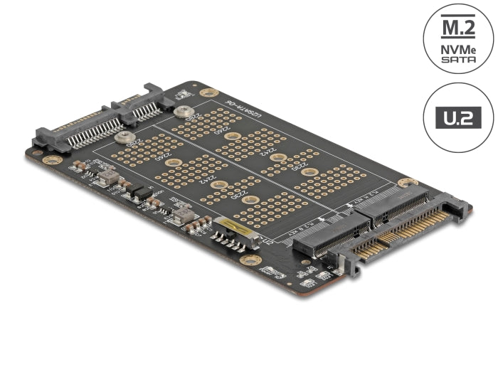 Delock Konverter M.2 Key M NVMe SSD zu U.2 und M.2 Key B SATA SSD zu SATA
