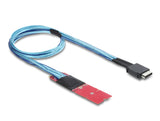 Delock M.2 Key M zu 1 x OCuLink SFF-8611 Konverter mit 45 cm Kabel
