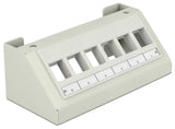 Delock Keystone Multimedia Panel 6 Port grau