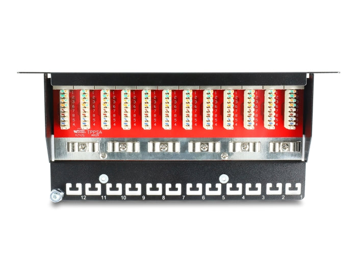Delock 10″ Patchpanel 12 Port Cat.6 schwarz