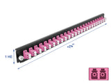 Delock 19″ LWL Spleißbox Frontblende 24 Port LC Duplex violett