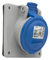 LEGRAND CEE-Steckdose 2p 16A 6h 230V/bl Legrand 555184 IP44 UP Schraubkl Kst