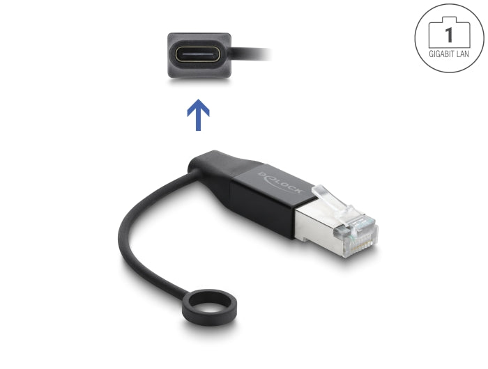 Delock USB Type-C™ Netzwerk Adapter Gigabit LAN 1 x RJ45 Stecker