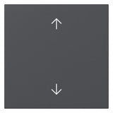GIRA Wippe 1t Schalter anth mt Pfeile System 55 361628