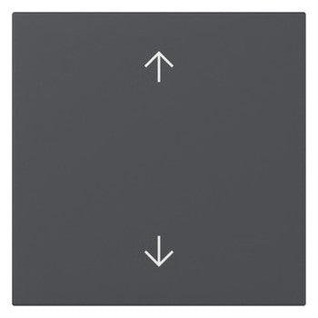 GIRA Wippe 1t Schalter anth mt Pfeile System 55 361628