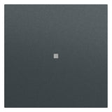 GIRA Kontrollwippe Schalter anth lack 329073