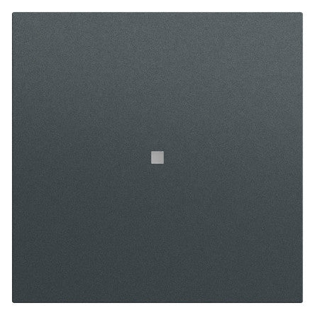 GIRA Kontrollwippe Schalter anth lack 329073