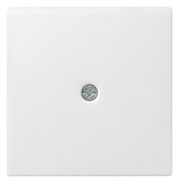 GIRA Zentralplatte Kabelausl rws System 55 027427 Schraubbef