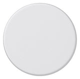 GIRA Drehknopf Symbol Dimmer rws mt System 55 091027