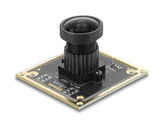 Delock USB 2.0 Kameramodul mit Wide Dynamic Range 1,92 Megapixel 120° V6 Fixfokus