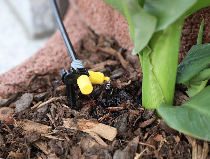 Delock Micro-Drip Set für Töpfe – Komplettes Tropfbewässerungsset für Topfpflanzen