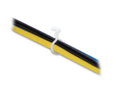 Delock Kabeldriller Ø 13 mm transparent, 100 Stück