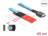 Delock M.2 Key M zu 1 x OCuLink SFF-8611 Konverter mit 45 cm Kabel
