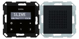 GIRA UP-Radio sw mt Basiselem System 55 2280005