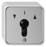 GIRA Schlüsseltaster-Modul gr 1S AP IP44 WG AP 016330