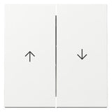 GIRA Wippe_2t Jalousie rws glz System 55 329403 div.Symbole
