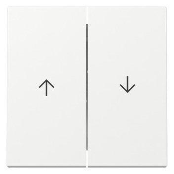 GIRA Wippe_2t Jalousie rws glz System 55 329403 div.Symbole