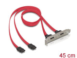 Delock Slotblech intern 2x SATA zu 2x eSATA extern