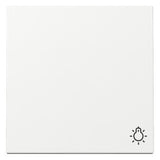 GIRA Wippe Schalter rws glz Licht System 55 328503